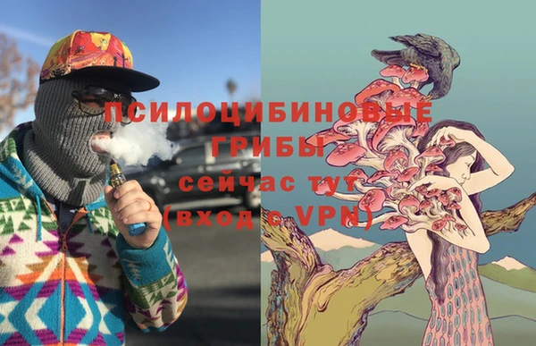 винт Богданович