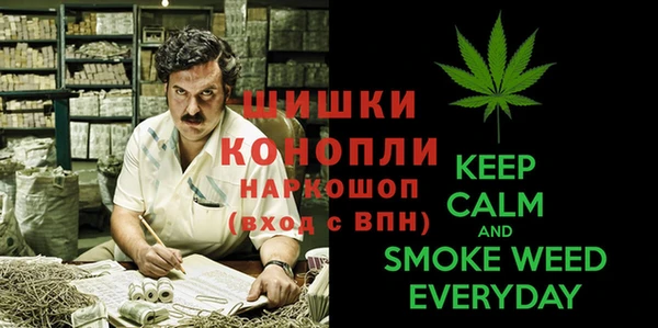 винт Богданович