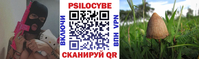 закладки Улан-Удэ мориарти официальный сайт Псилоцибиновые грибы прущие грибы